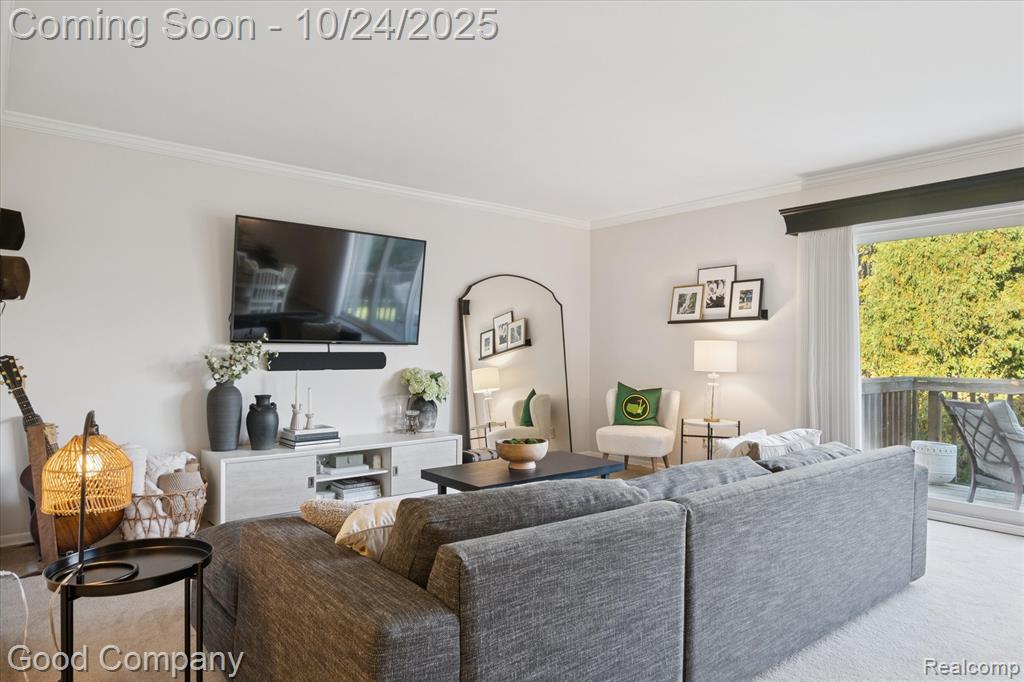 745 Randolph Street, 223, Northville, MI 48167 — Photo 3