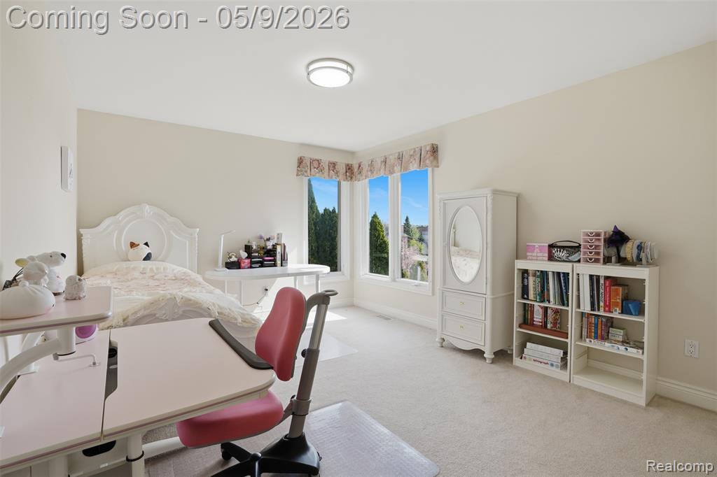 18254 Parkshore Drive, Northville, MI 48168 — Photo 26