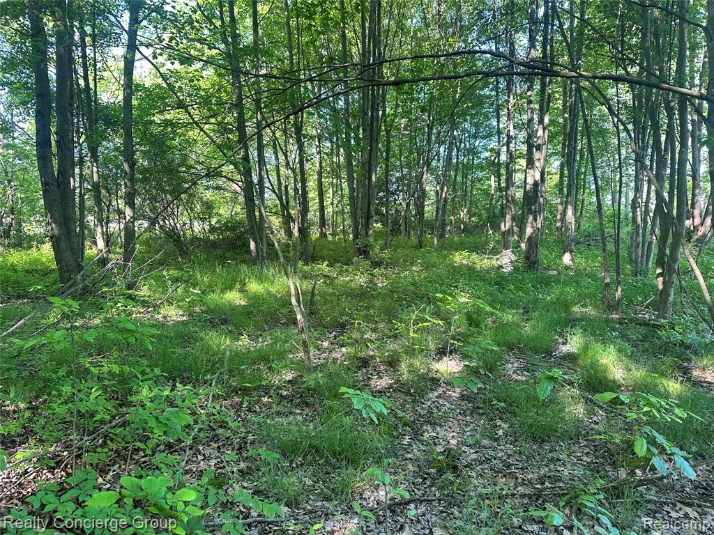 2681 Fisk Road, Howell, MI 48843 — Photo 15