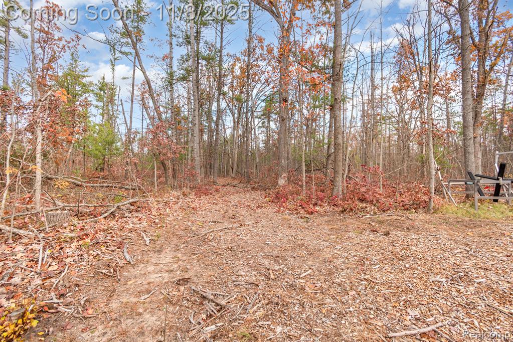 3506 County Road 612, Lewiston, MI 49756 — Photo 13