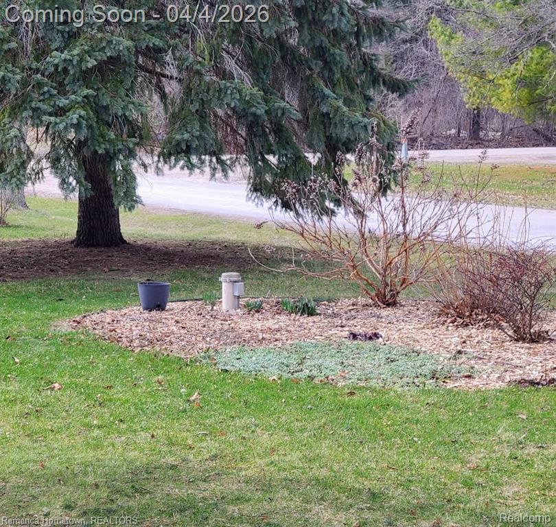 3446 N Dancer Road, Dexter, MI 48130 — Photo 3