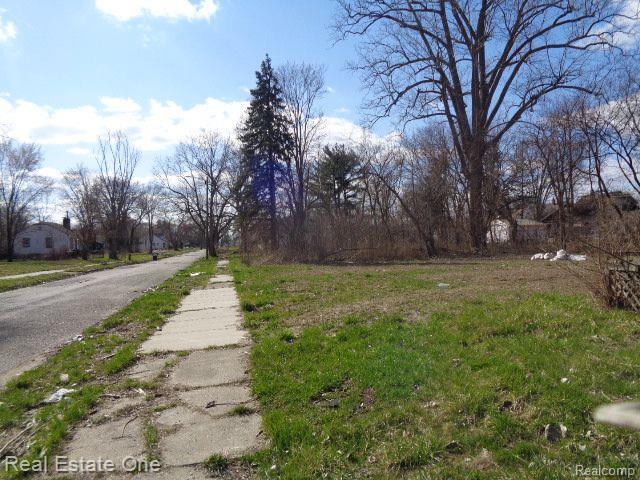 14065 MANNING Street, Detroit, MI, 48205