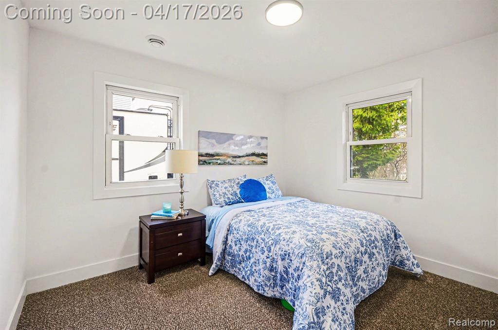 67550 Sisson Street, Washington, MI 48095 — Photo 17
