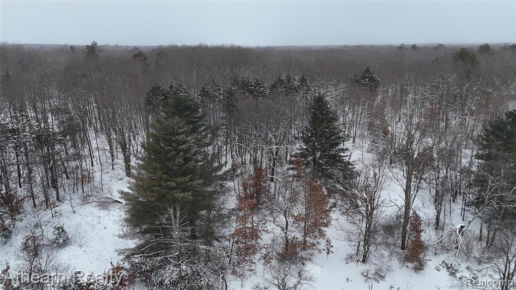 5785 Bringold, Lake, MI 48632 — Photo 3