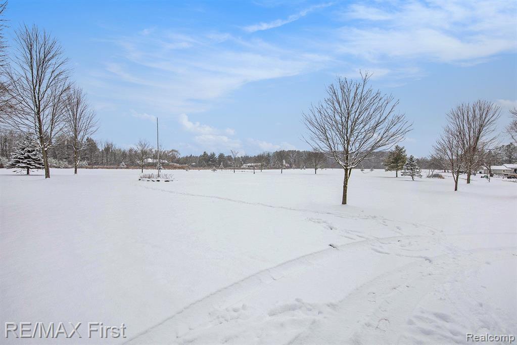 5680 CRIBBINS Road, Clyde, MI 48049 — Photo 26