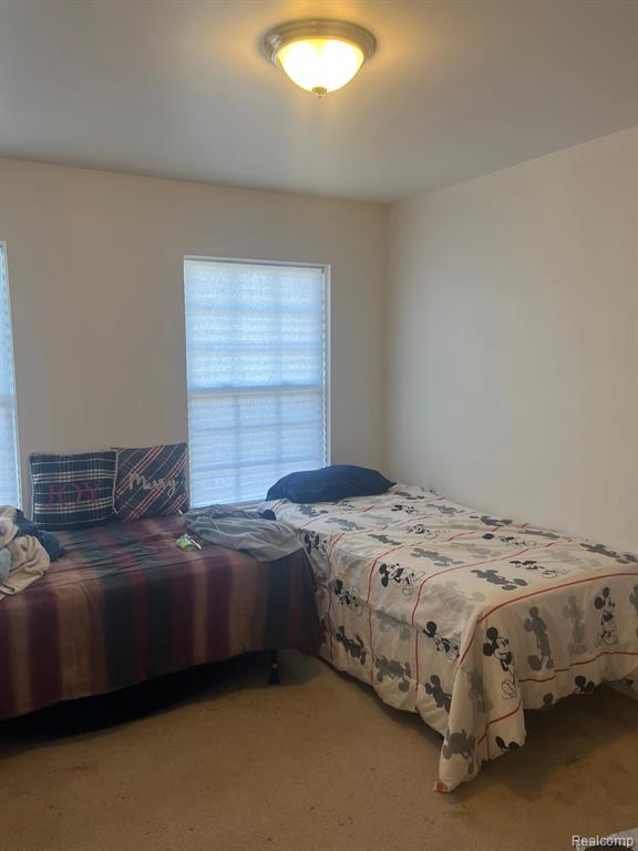 9849 ROLAN MEADOWS Drive, Belleville, MI 48111 — Photo 11