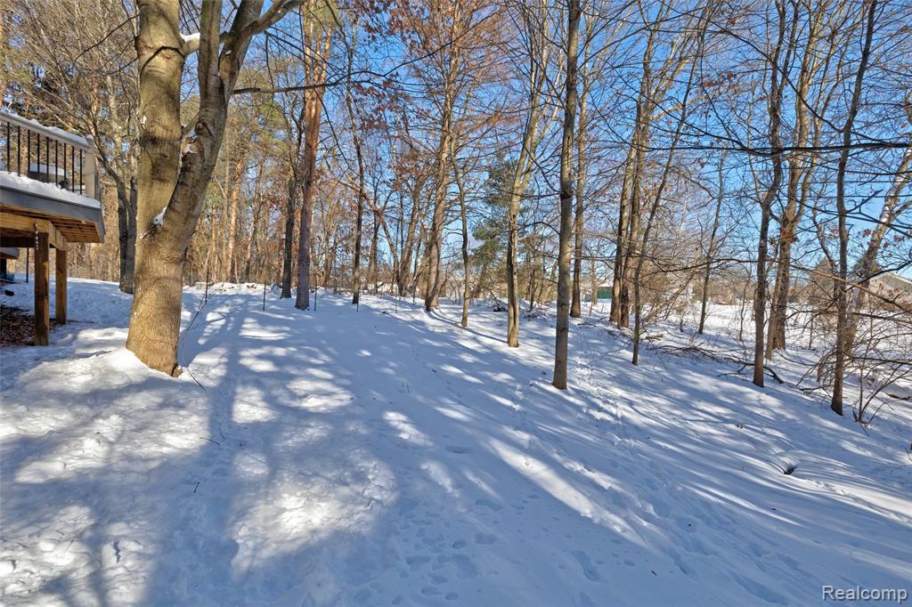 9619 Tree Top Court, Pinckney, MI, 48169