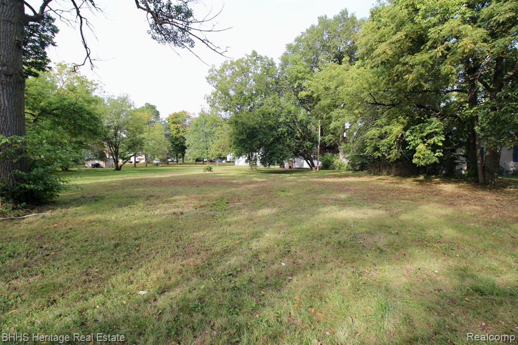 119 ANDRES Street, Chesaning, MI 48616 — Photo 5