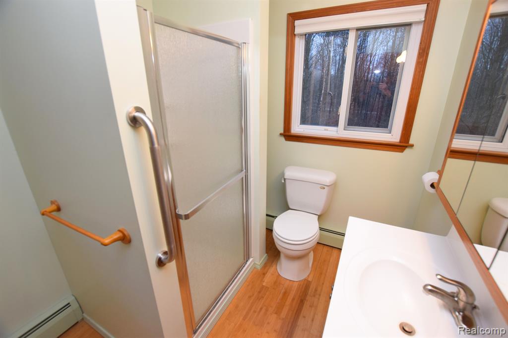 12600 BIRCH RUN Road, Birch Run, MI 48415 — Photo 12