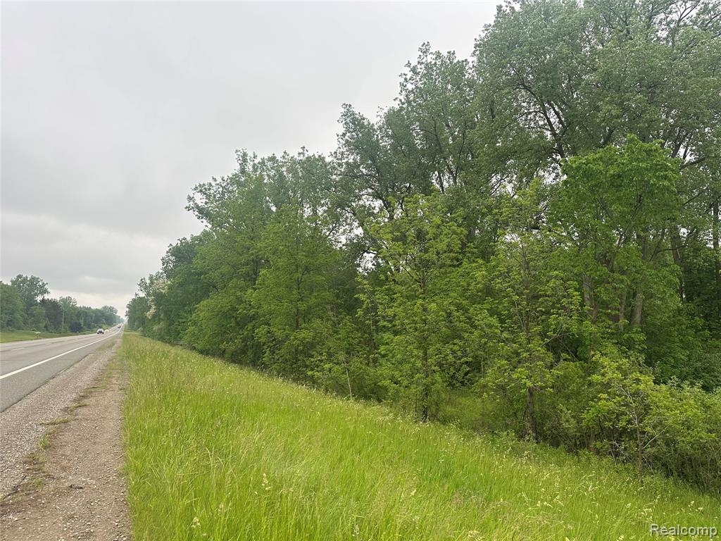 VL Mertz Road, Mayville Vlg, MI 48744 — Photo 8