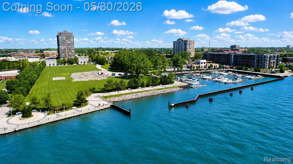 250 E Harbortown Drive, 205, Detroit, MI 48207 — Photo 40
