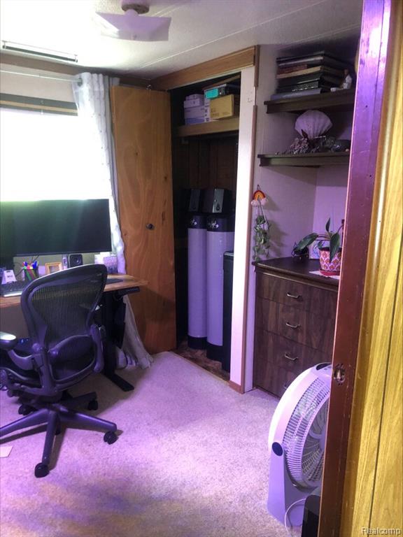 424 VOLLMER Drive, Mount Pleasant, MI 48858 — Photo 17