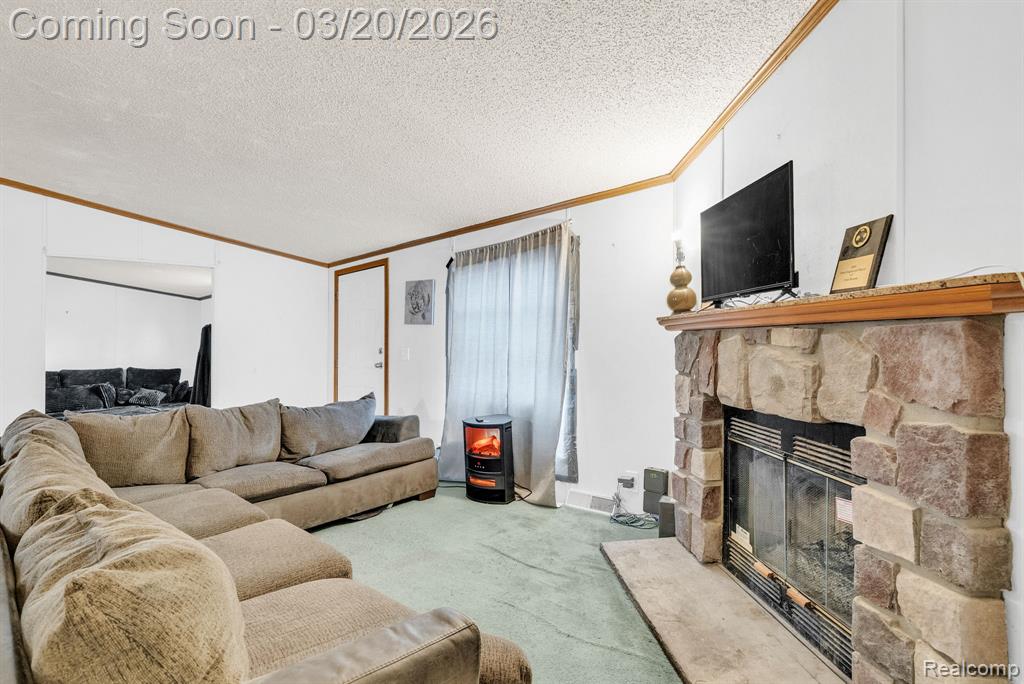 7151 Martin Road, Imlay City, MI 48444 — Photo 3
