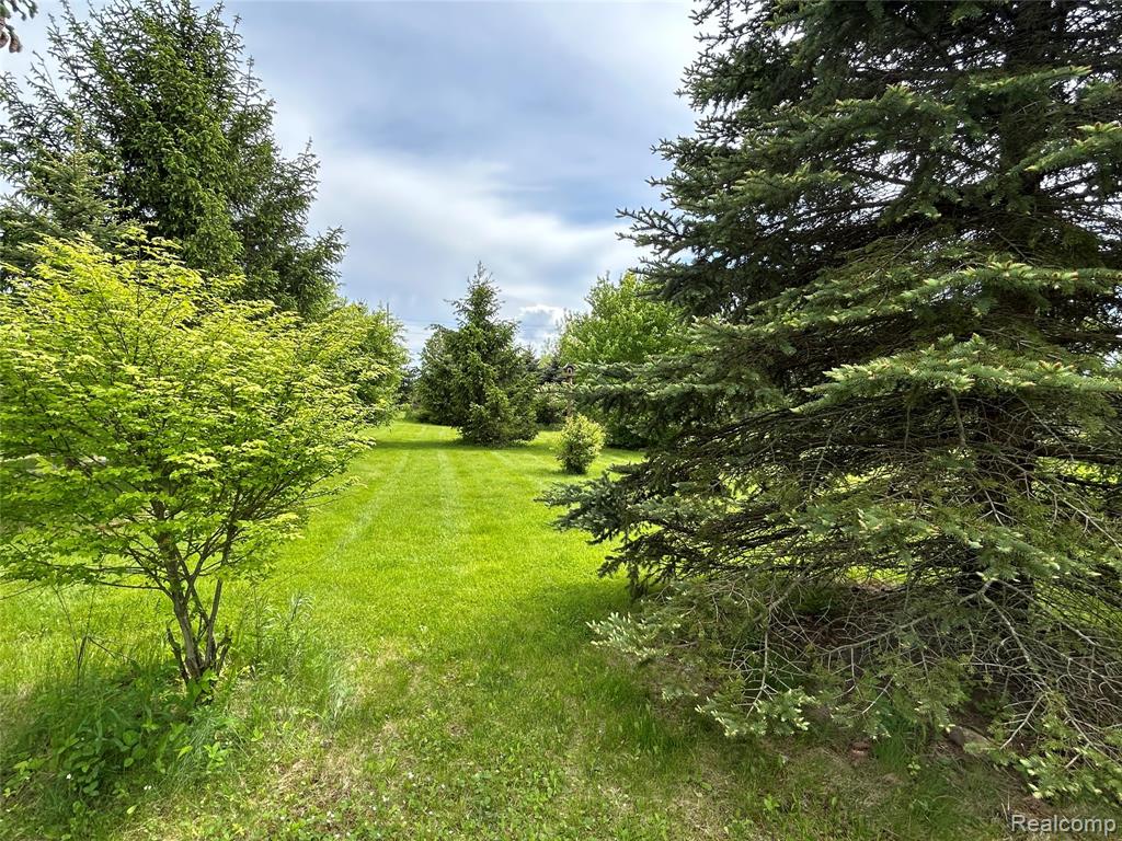 8610 Peck Road, Marlette, MI 48453 — Photo 9