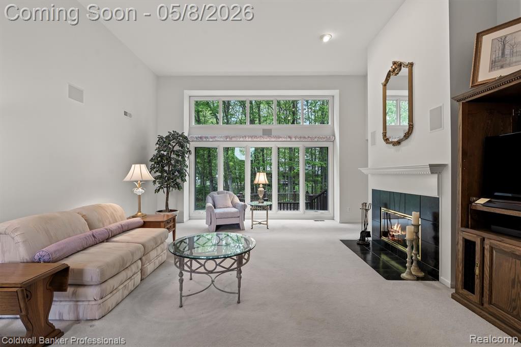 46770 Southview Lane, Plymouth, MI 48170 — Photo 8