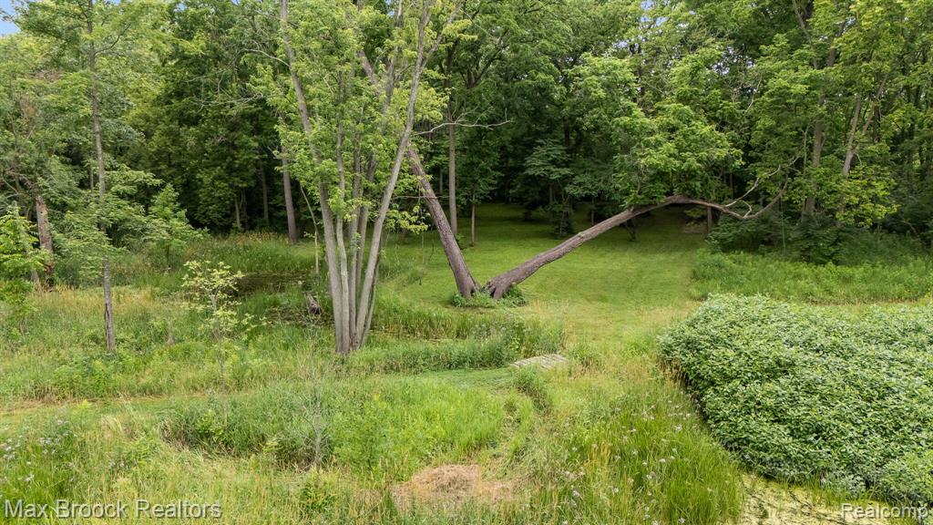 20403 Robinway Drive, Clinton Twp, MI 48036 — Photo 50