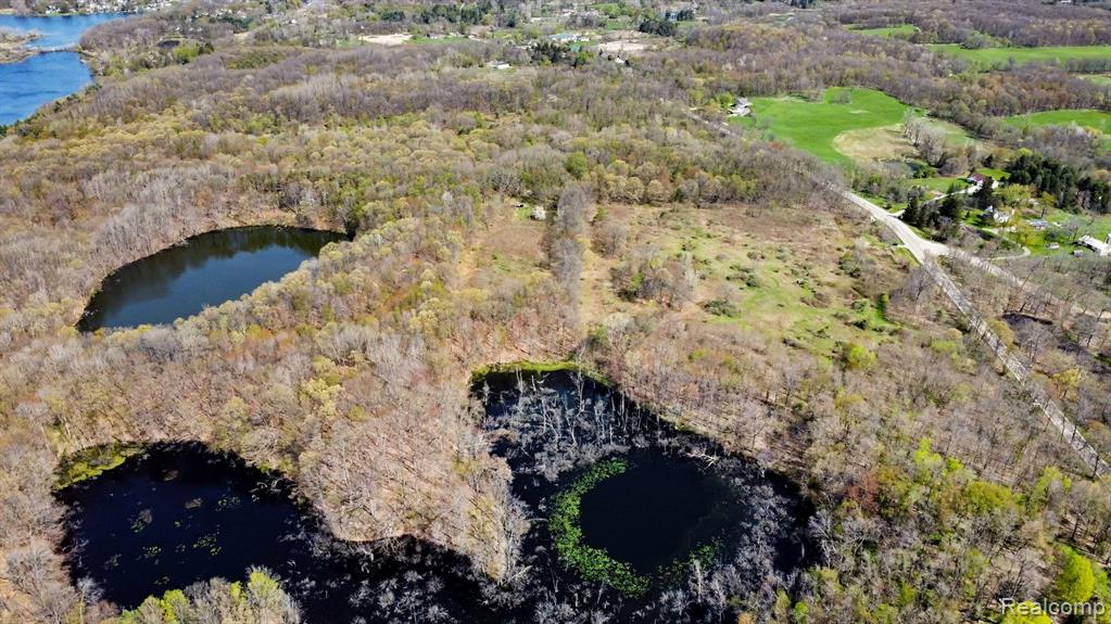 8815 Milford Road, Holly, MI 48442 — Photo 38