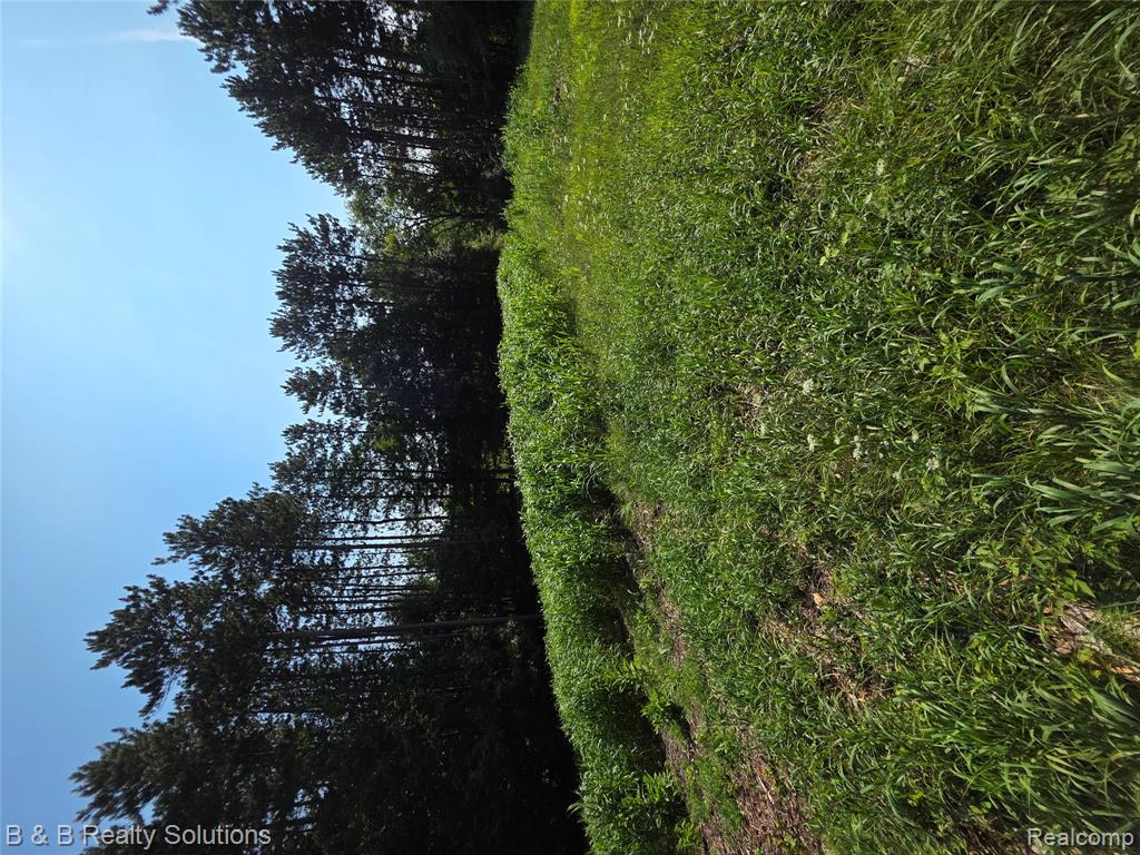 1441 Candace Drive, Lapeer, MI 48446 — Photo 2