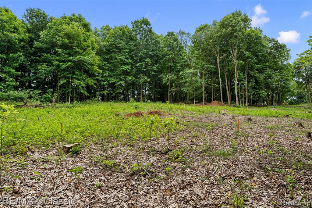 7888 N Territorial, Dexter, MI 48130 — Photo 4