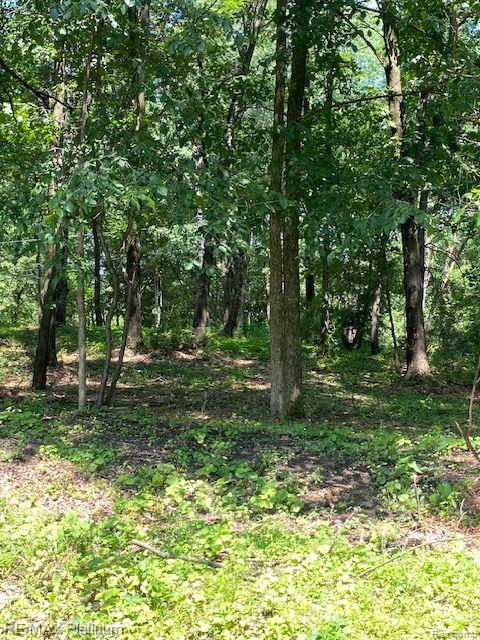 3 Sleaford-Parcel 3-3.17 Acres Road, Howell, MI 48843 — Photo 45