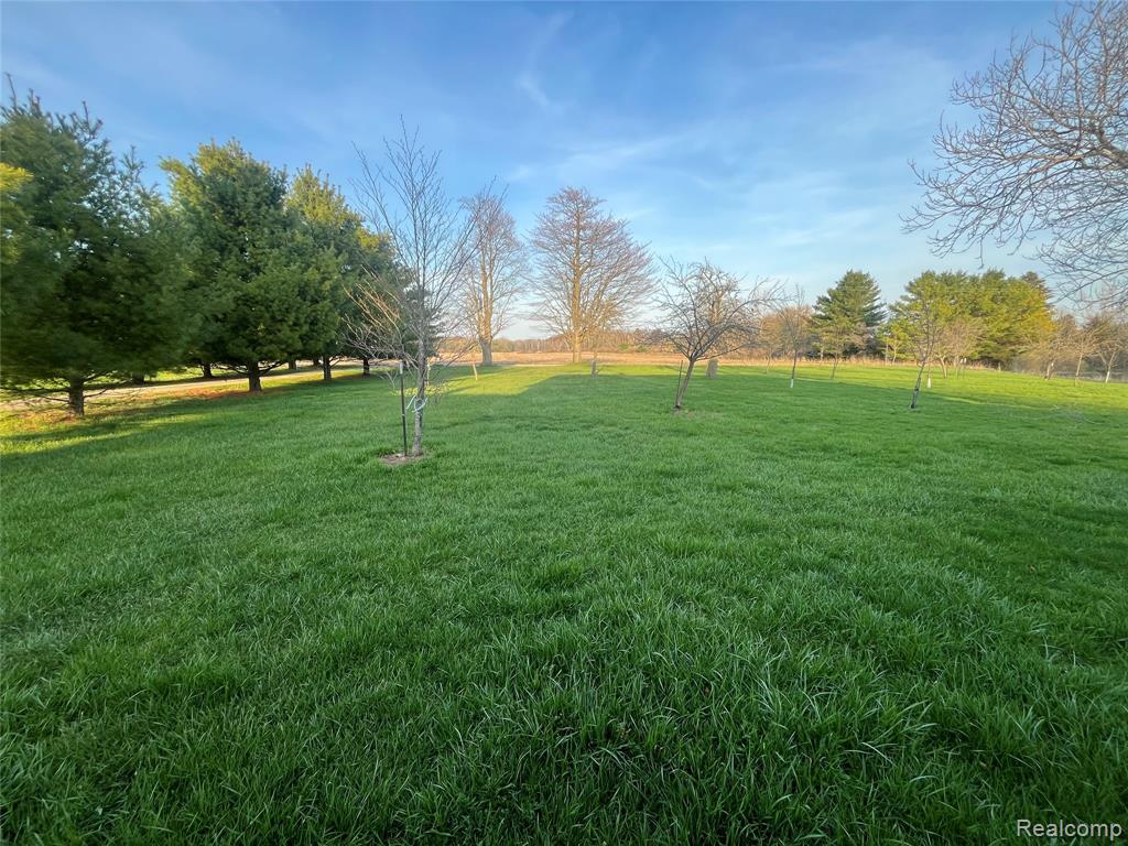 4218 Babcock #3 Road, Lexington, MI 48450 — Photo 4