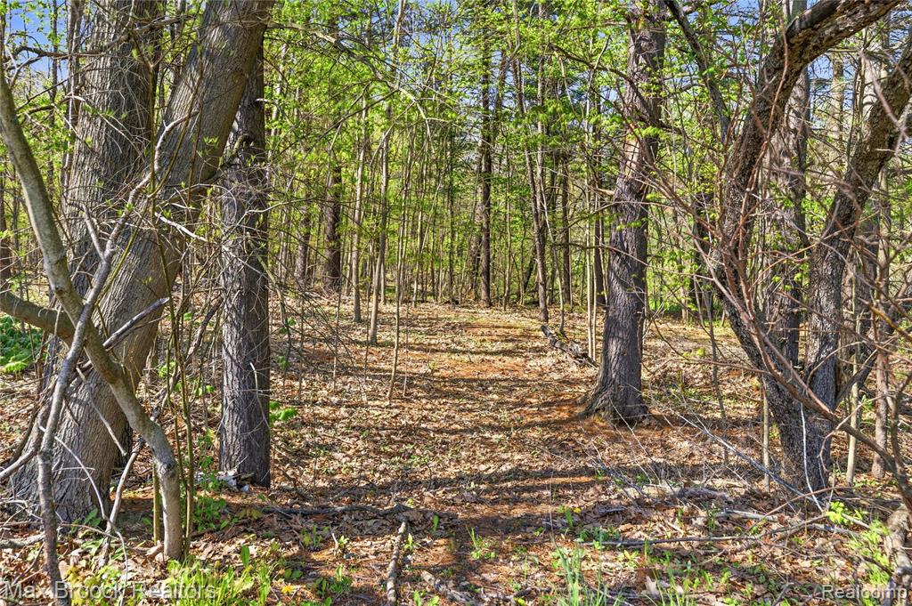 3295 Burning Tree Lane, Attica, MI 48412 — Photo 53