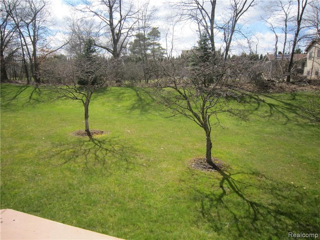 1069 CALPERNIA, Wixom, MI 48393 — Photo 15