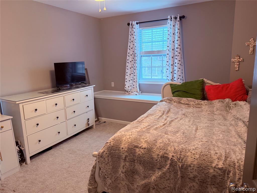 58143 Sunflower Circle S, New Hudson, MI 48165 — Photo 15