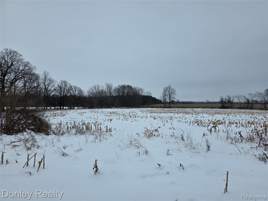 9999 Montgomery, Sanilac, MI 48453 — Photo 7