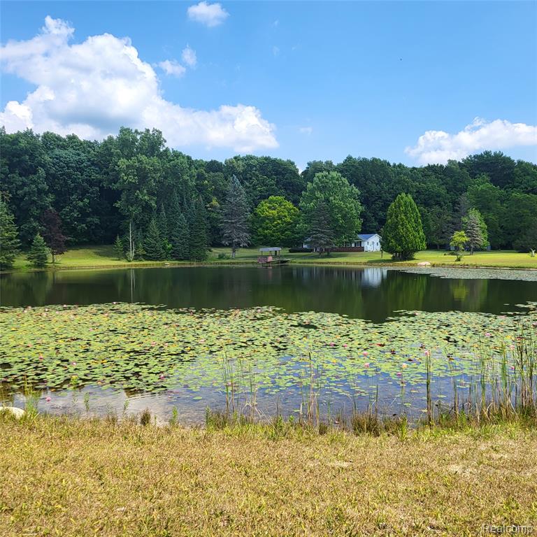 5060 Pinecone Drive, Lapeer, MI 48446 — Photo 38