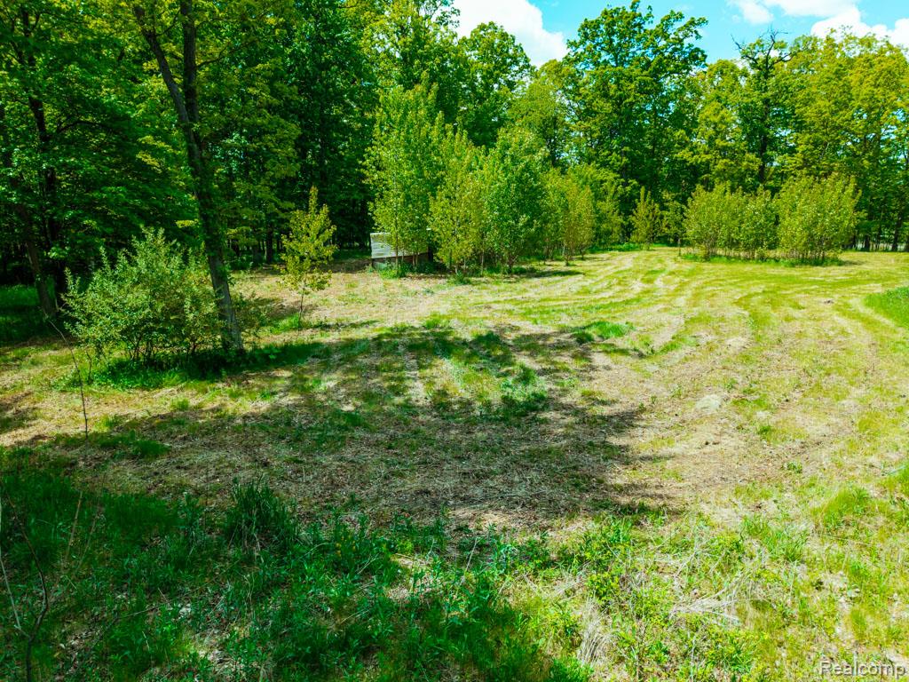 C-1 DOA Lane, Brighton, MI 48114 — Photo 10