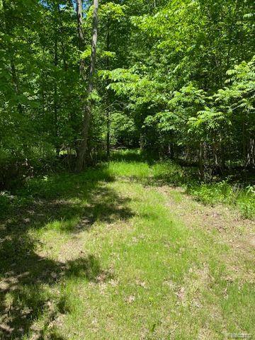 V/L UNDERWOOD Road, Caro, MI 48723 — Photo 11