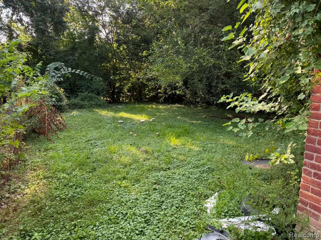 9575 Braile Street, Detroit, MI 48228 — Photo 4