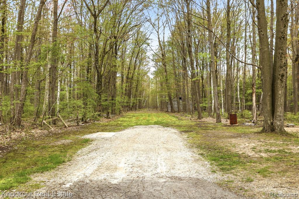 1608 S Pinnebog Road, Bad Axe, MI 48413 — Photo 46