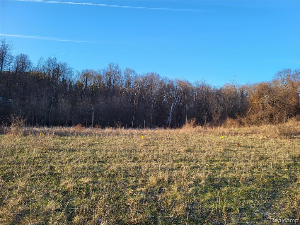 TBD Parcel B Olivia Drive, Milford, MI 48380 — Photo 6