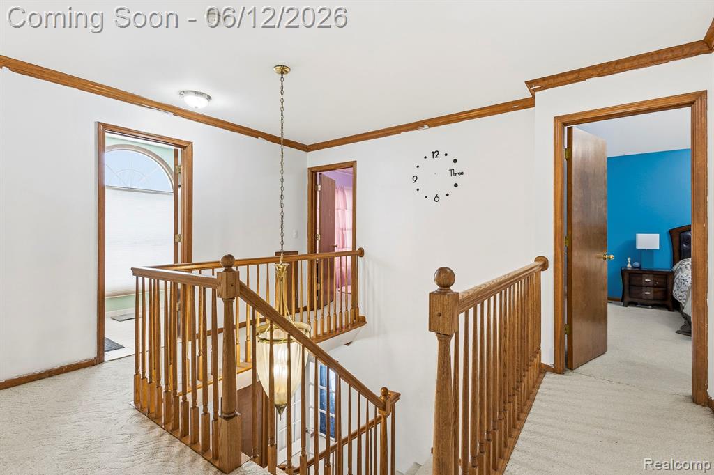 53428 Gregory Drive, Macomb, MI 48042 — Photo 10