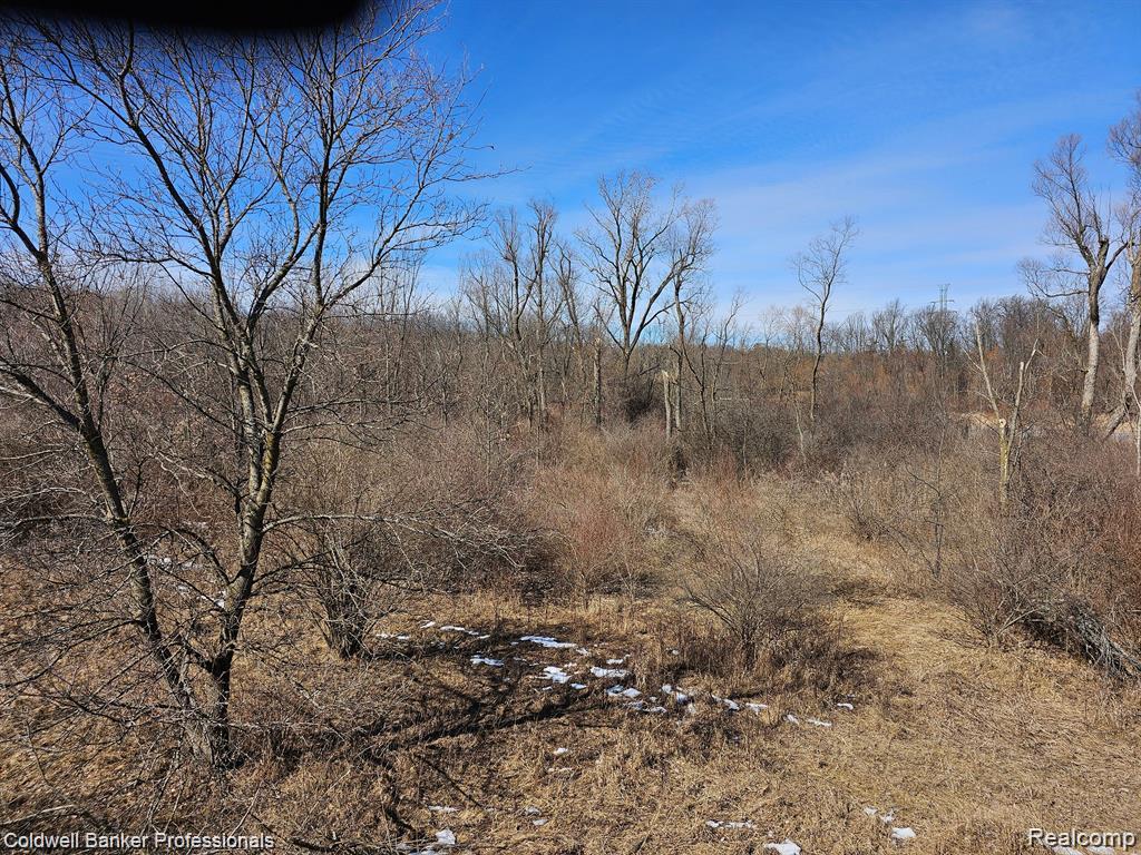0 Jamestown Drive, Metamora, MI 48455 — Photo 13
