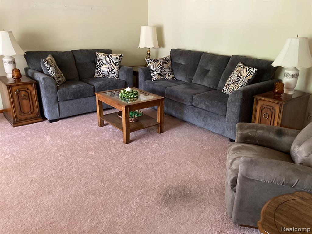 6361 4TH Street, Cass City, MI 48726 — Photo 9