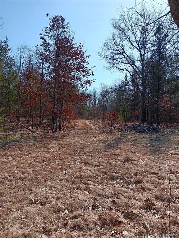 0000 Cedar Creek Road, Wellston, MI, 49689