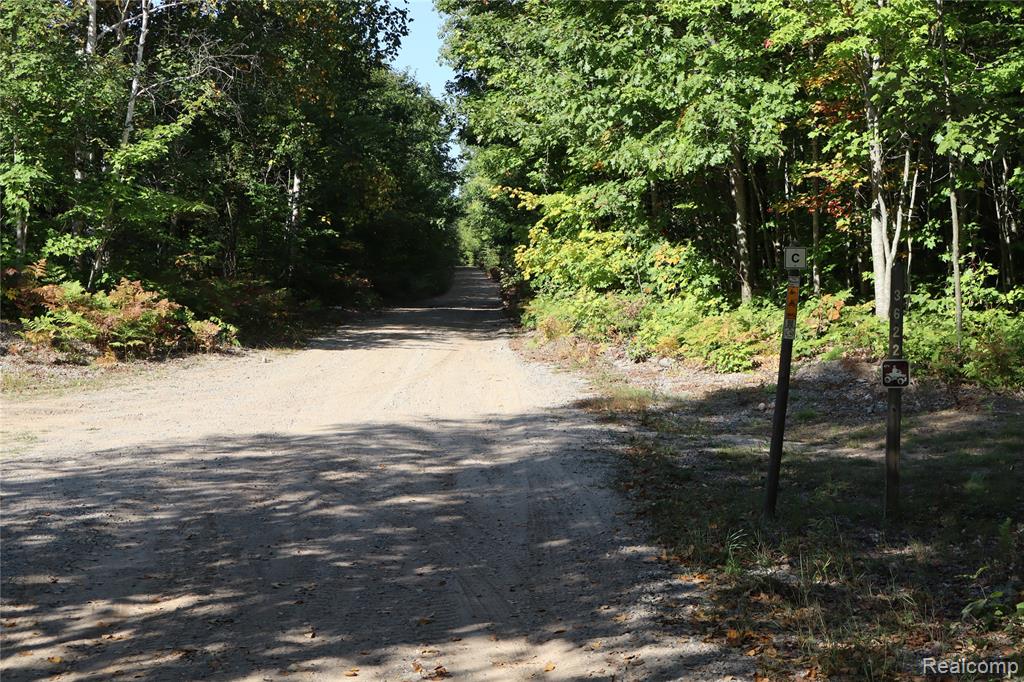 Lot D W Pendills Lake Road, Brimley, MI 49715 — Photo 53