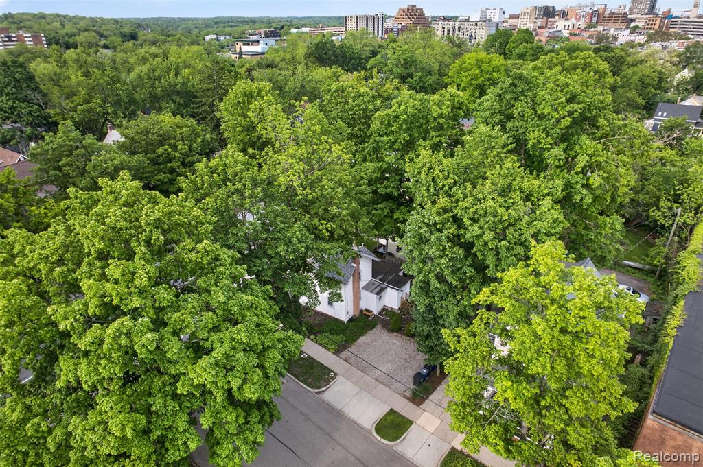 623 W Liberty Street, Ann Arbor, MI 48103 — Photo 43