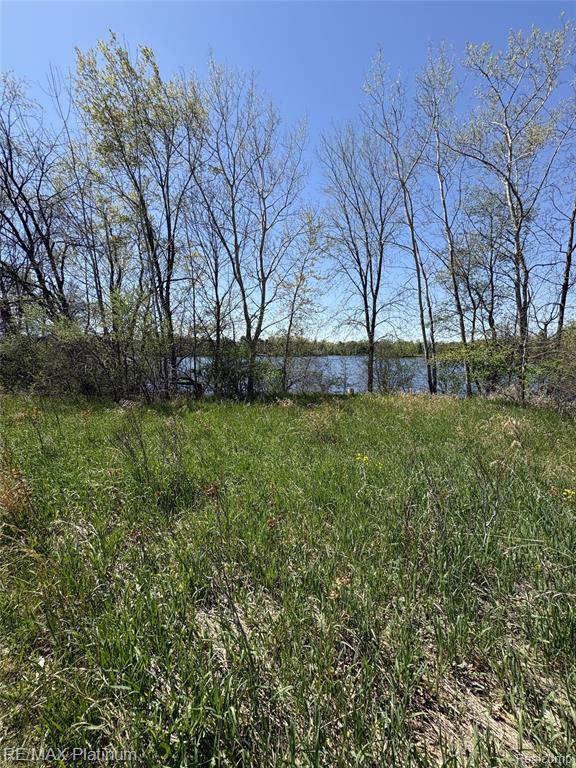 Parcel 1 Edgemont Drive, Howell, MI 48855 — Photo 12