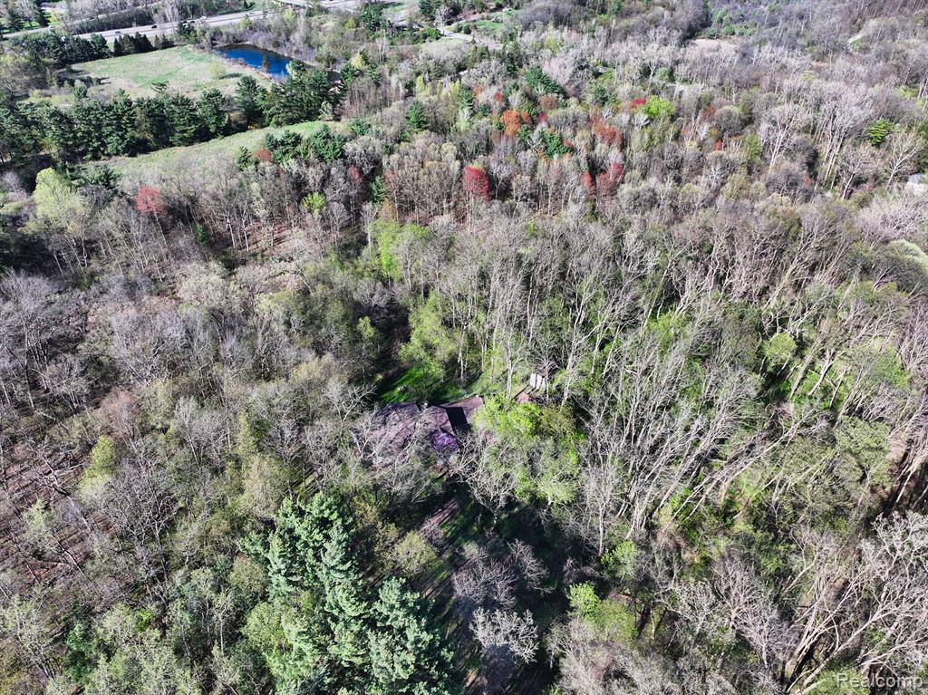 5920 PLEASANT VALLEY Road, Brighton, MI 48116 — Photo 10