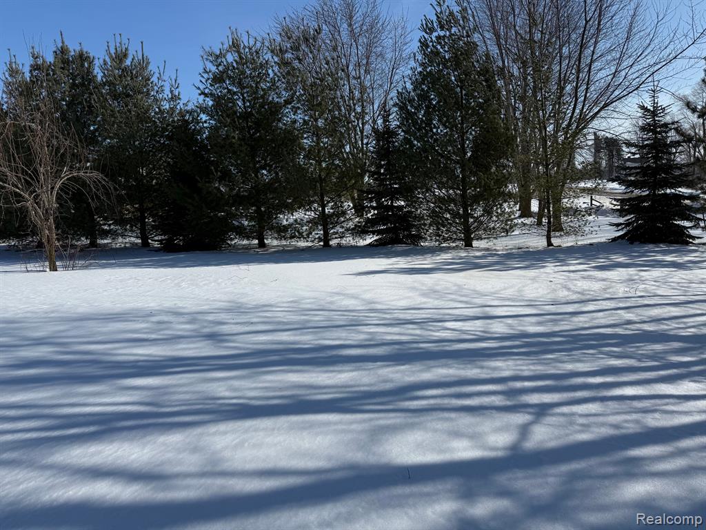 7595 BROOKS Road, Brown, MI 48416 — Photo 7