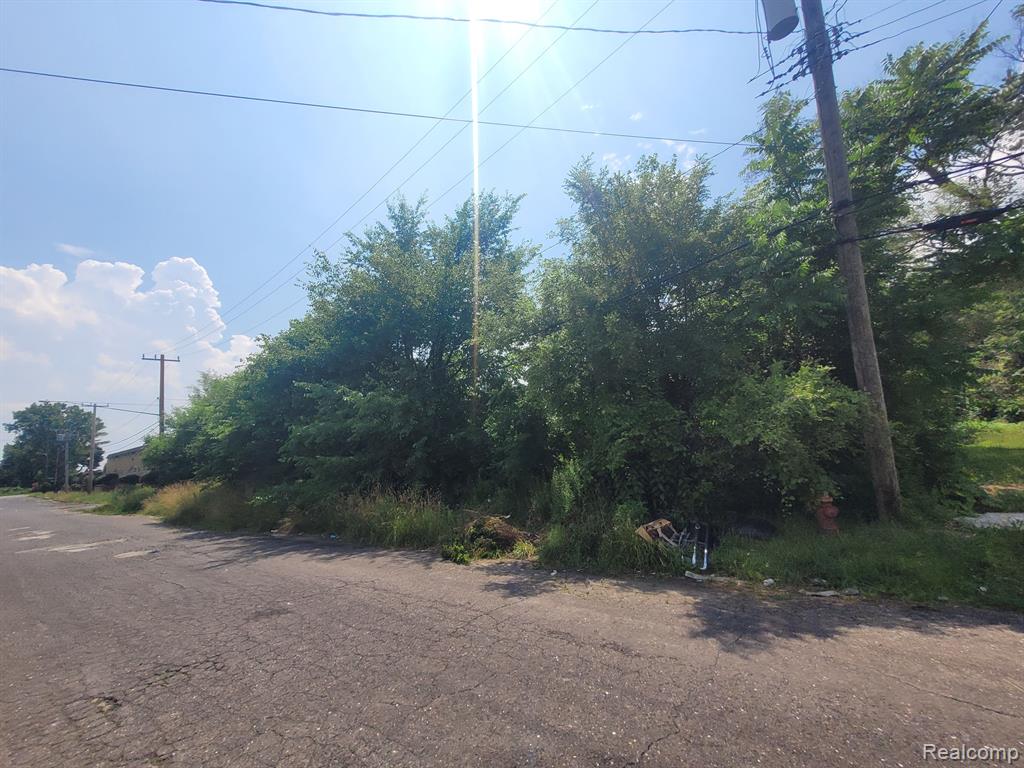 9585 IRIS Street, Detroit, MI 48227 — Photo 7