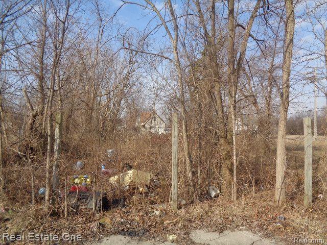 4293 16TH Street, Detroit, MI 48208 — front exterior