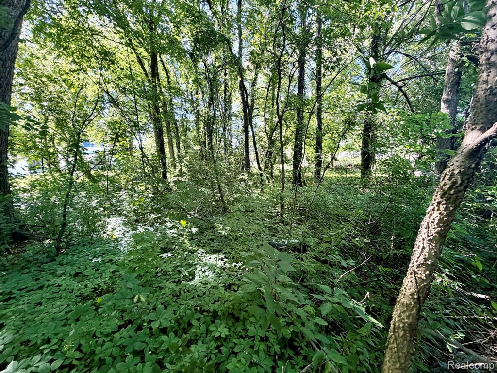 50730 Fairchild Road, New Baltimore, MI — Photo 42