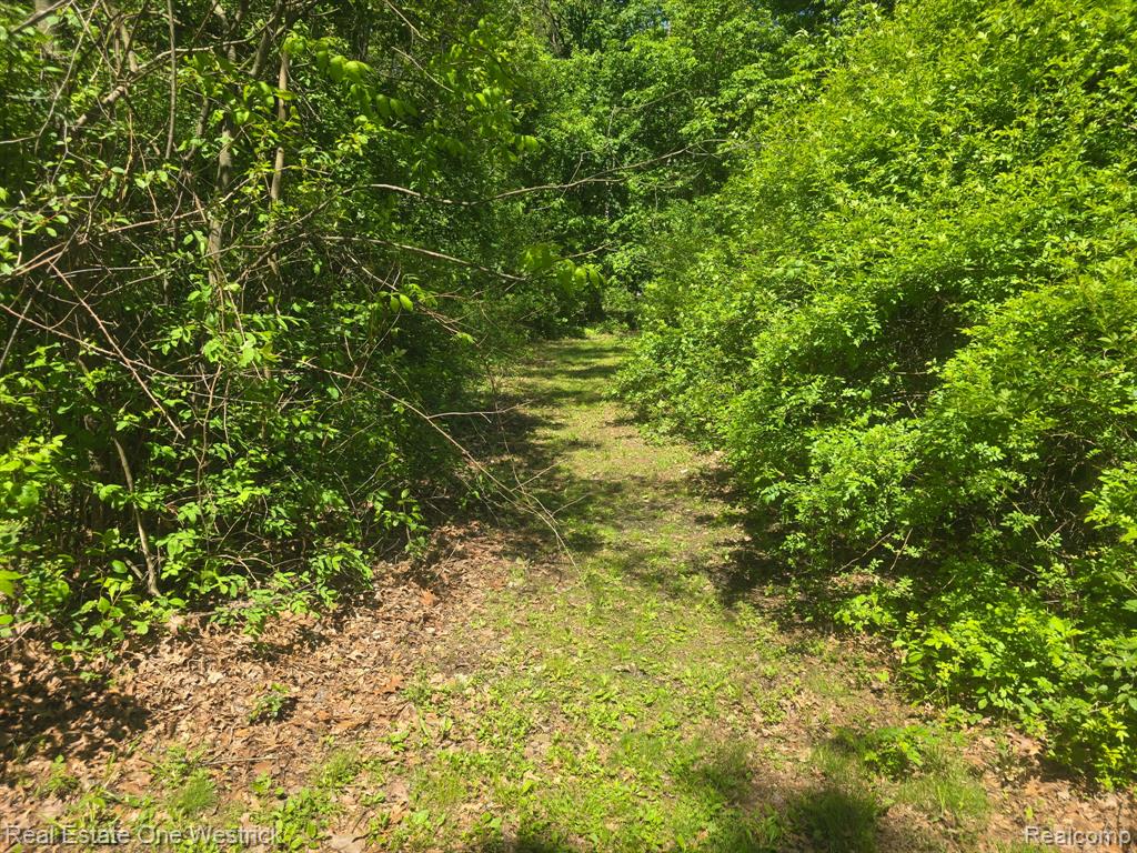 9236 River Road, Algonac, MI 48001 — Photo 27