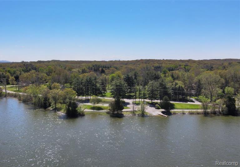 8461 Woodland Shore Drive, Brighton, MI 48114 — Photo 22