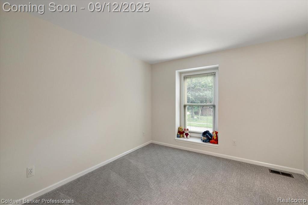 49238 Plum Tree Drive, Plymouth, MI 48170 — Photo 46